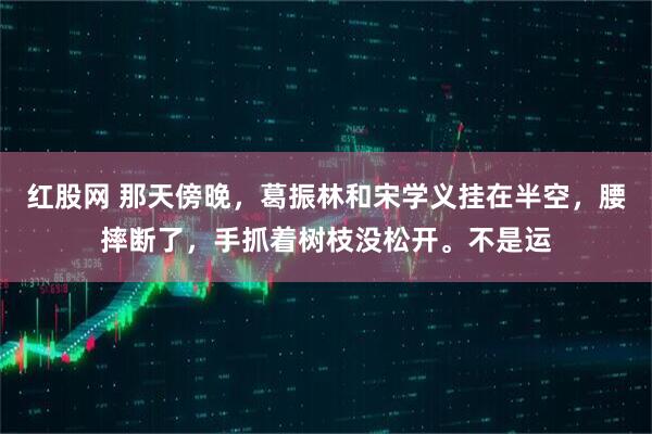 红股网 那天傍晚，葛振林和宋学义挂在半空，腰摔断了，手抓着树枝没松开。不是运