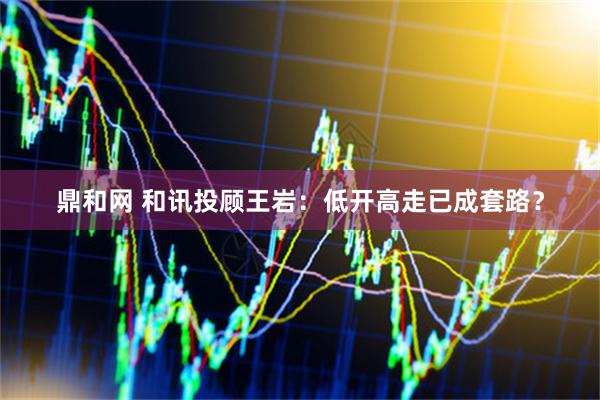 鼎和网 和讯投顾王岩：低开高走已成套路？