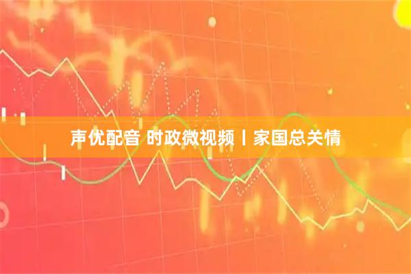 声优配音 时政微视频丨家国总关情