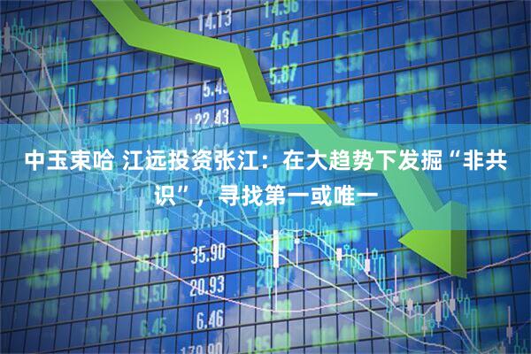 中玉束哈 江远投资张江：在大趋势下发掘“非共识”，寻找第一或唯一