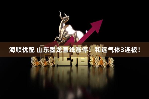 海顺优配 山东墨龙直线涨停！和远气体3连板！