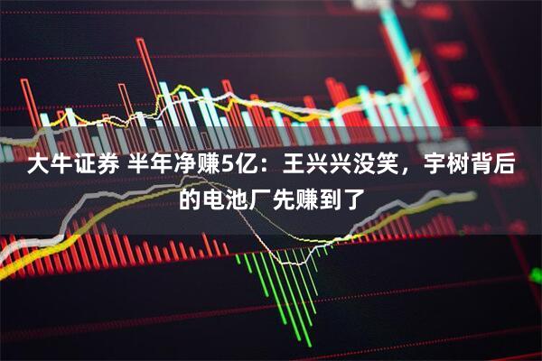 大牛证券 半年净赚5亿：王兴兴没笑，宇树背后的电池厂先赚到了